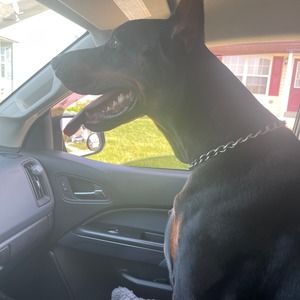 Meet your Posher, Jay